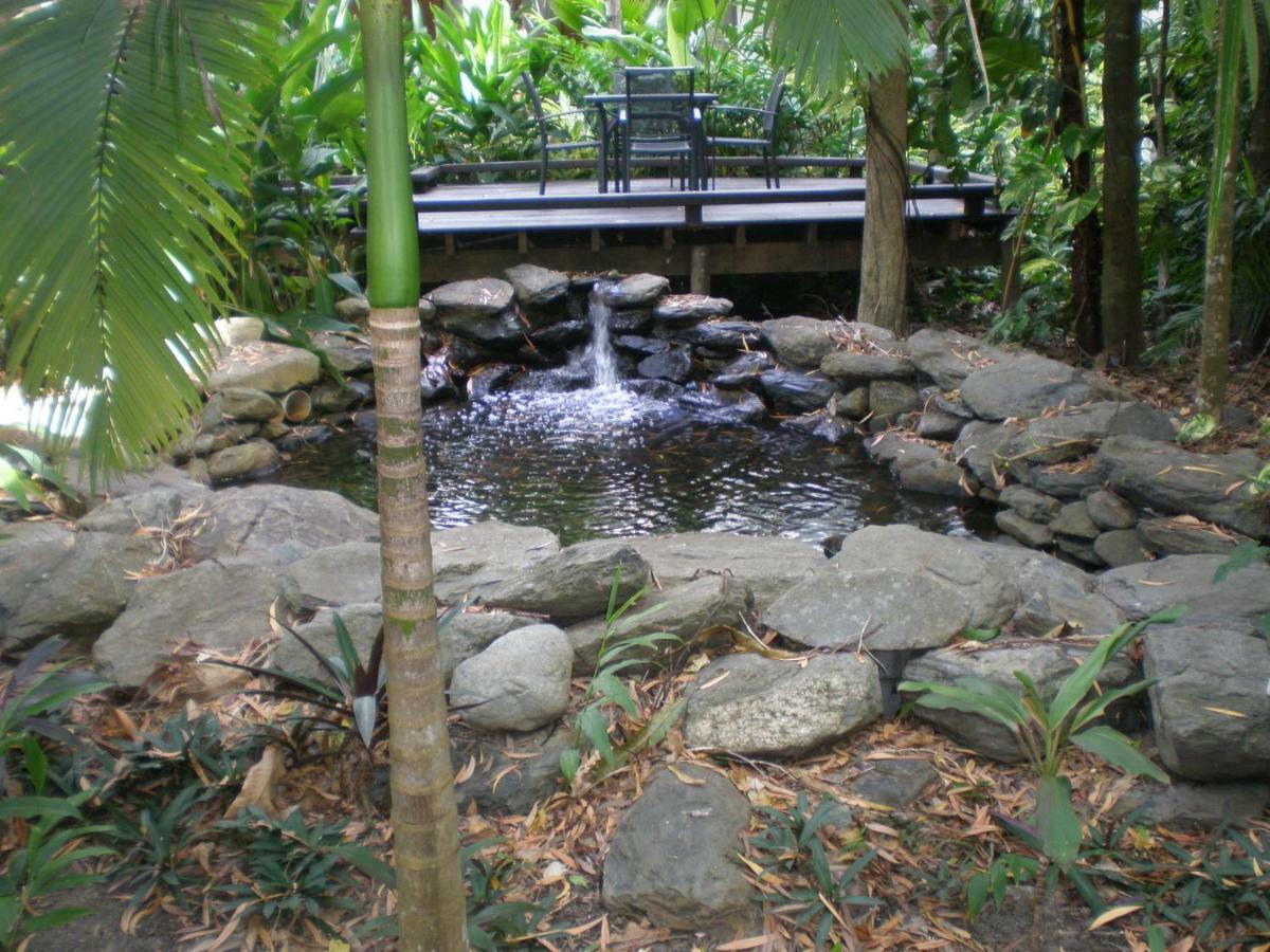 Hidden Gem @ Palm Cove Apartamento Exterior foto